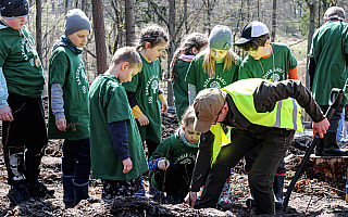 Powstał las solidarności. Posadziły go dzieci z Polski i Ukrainy